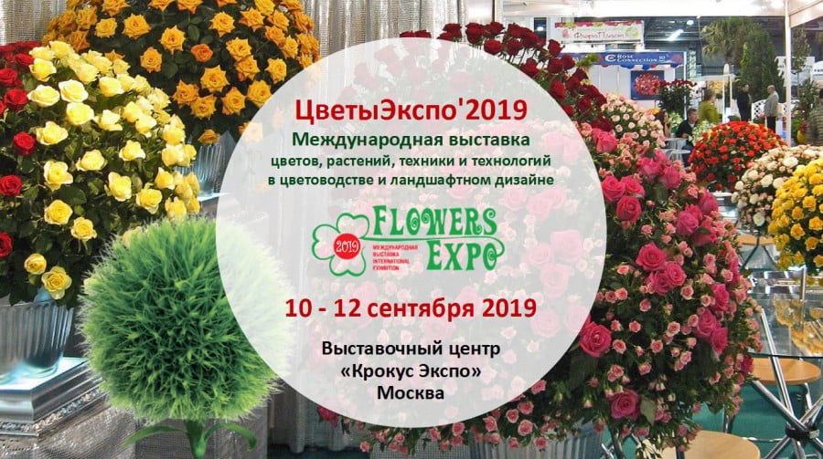 Transfer between Moscow airports and the FlowersExpo 2019 exhibition